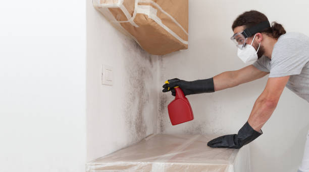 Professional Mold Remediation technician working in Holly Springs, NC