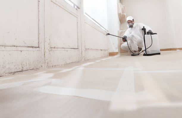 24/7 Emergency Mold Remediation experts in Holly Springs, NC