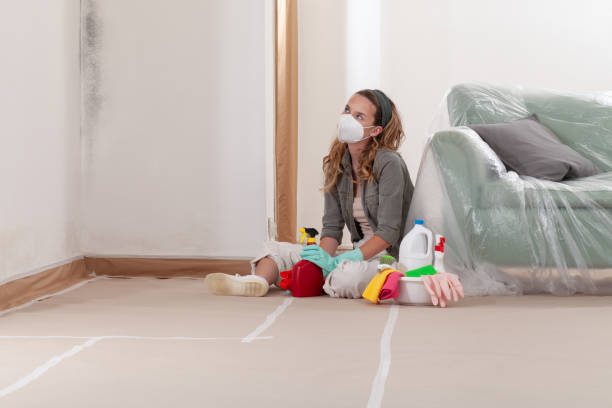Reliable Mold Remediation contractor in Holly Springs, NC by Car Mold Remediation